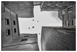 DSC_2807_1 DSC_2807_1