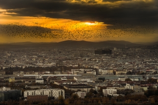 DSC_4975_1 DSC_4975_1